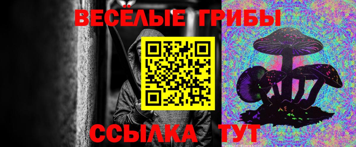 Галлюциногенные грибы мицелий Набережные Челны