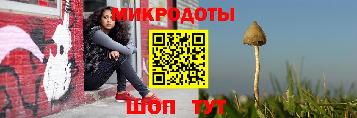 Галлюциногенные грибы мухоморы  цена   Набережные Челны  Вход с VPN 
